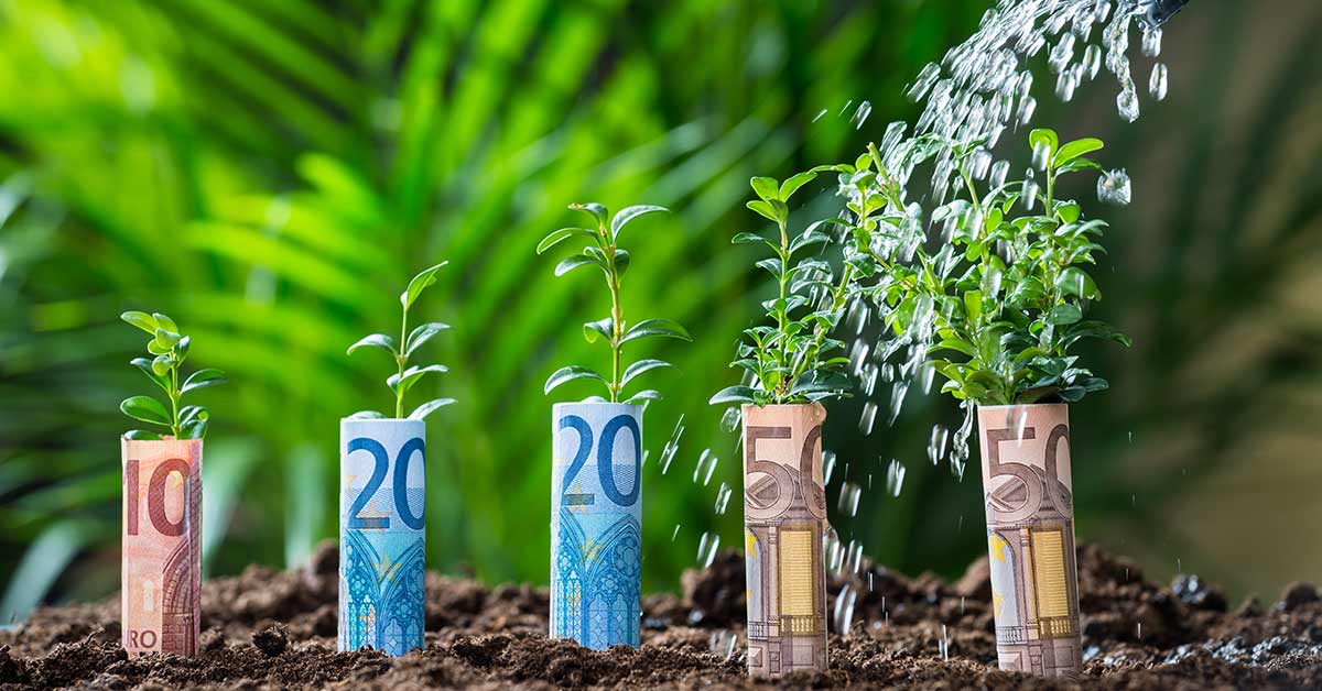 Pflanzen, die aus Geldscheinen wachsen und gegossen werden; Wohnen im Alter