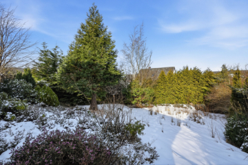 Blick in den Garten - Großzügiges Wohnhaus mit Renovierungsstau und Restarbeiten in Heiligenhafen